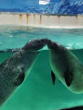 下田海中水族館に投稿された画像（2024/1/15）