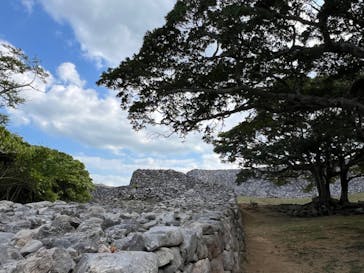 今帰仁城跡に投稿された画像（2024/1/15）