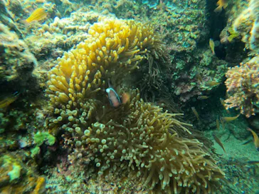 武藤潜水に投稿された画像（2024/1/15）