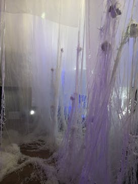 愛知県指定有形文化財 伊藤家住宅×花とデジタルアートの祭典 2023-2024に投稿された画像（2024/1/15）