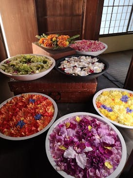 愛知県指定有形文化財 伊藤家住宅×花とデジタルアートの祭典 2023-2024に投稿された画像（2024/1/15）