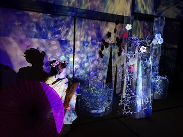 愛知県指定有形文化財 伊藤家住宅×花とデジタルアートの祭典 2023-2024に投稿された画像（2024/1/15）
