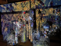 愛知県指定有形文化財 伊藤家住宅×花とデジタルアートの祭典 2023-2024に投稿された画像（2024/1/15）