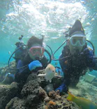 武藤潜水に投稿された画像（2024/1/15）