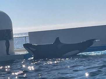 鴨川シーワールドに投稿された画像（2024/1/15）