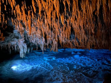 おきなわワールドに投稿された画像（2024/1/15）