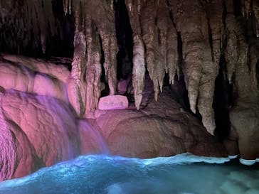 おきなわワールドに投稿された画像（2024/1/15）