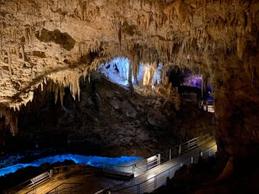 おきなわワールドに投稿された画像（2024/1/15）