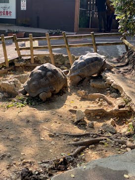 おきなわワールドに投稿された画像（2024/1/15）