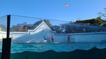 しながわ水族館に投稿された画像（2024/1/15）