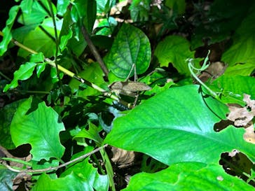 宮古島 ADVENTURE PiPi（ミヤコジマ アドベンチャー ピピ）に投稿された画像（2024/1/15）