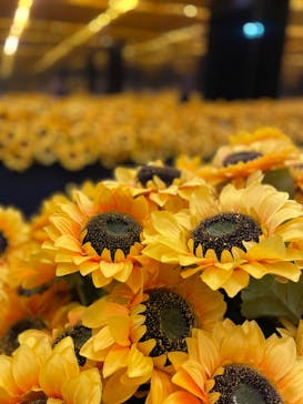 ゴッホ・アライブに投稿された画像（2024/1/15）