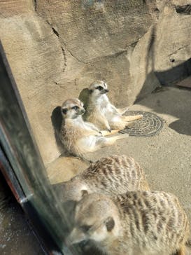 よこはま動物園ズーラシアに投稿された画像（2024/1/15）