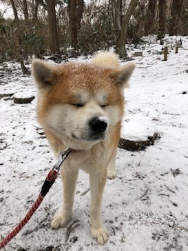 一般社団法人ヘルスケアデザイン秋田に投稿された画像（2024/1/15）