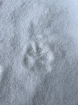 一般社団法人ヘルスケアデザイン秋田に投稿された画像（2024/1/15）