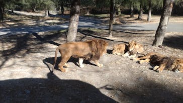 群馬サファリパークに投稿された画像（2024/1/15）