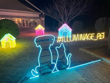 神戸イルミナージュに投稿された画像（2024/1/15）