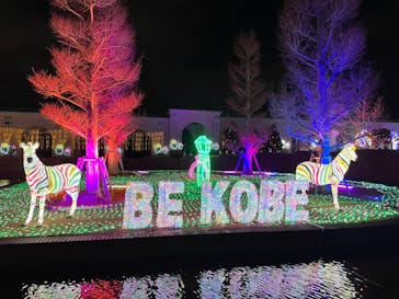 神戸イルミナージュに投稿された画像（2024/1/15）