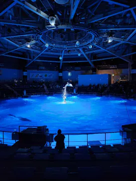 マクセル アクアパーク品川に投稿された画像（2024/1/15）