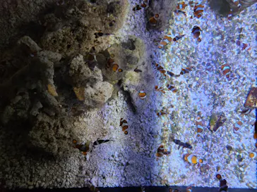 マクセル アクアパーク品川に投稿された画像（2024/1/15）