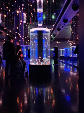 マクセル アクアパーク品川に投稿された画像（2024/1/15）