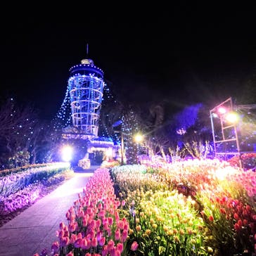 江の島シーキャンドルに投稿された画像（2024/1/15）