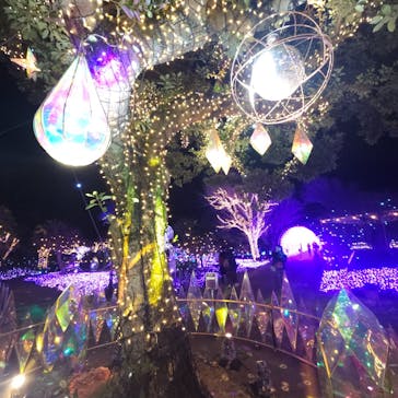 江の島シーキャンドルに投稿された画像（2024/1/15）