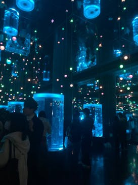 マクセル アクアパーク品川に投稿された画像（2024/1/15）