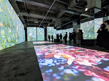 ゴッホ・アライブに投稿された画像（2024/1/15）