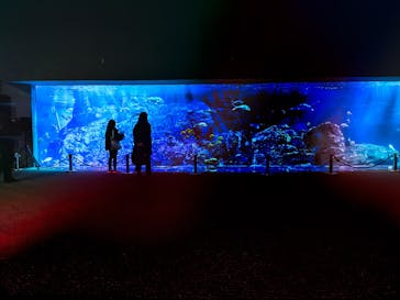 大分マリーンパレス水族館 「うみたまご」に投稿された画像（2024/1/15）