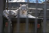 宇都宮動物園に投稿された画像（2024/1/16）