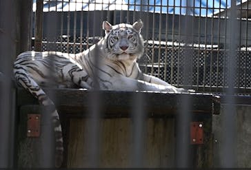 宇都宮動物園に投稿された画像（2024/1/15）
