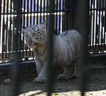 宇都宮動物園に投稿された画像（2024/1/15）
