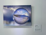 KAGAYA 星空の世界展に投稿された画像（2024/1/16）