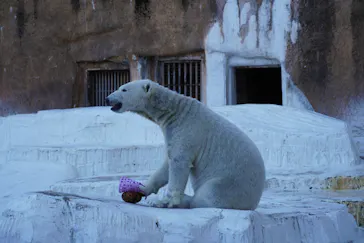 天王寺動物園に投稿された画像（2024/1/15）