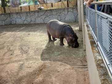 東武動物公園に投稿された画像（2024/1/16）