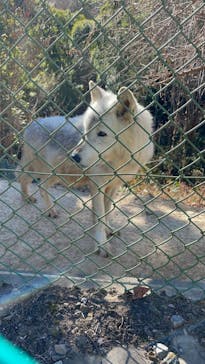 群馬サファリパークに投稿された画像（2024/1/16）