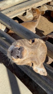 群馬サファリパークに投稿された画像（2024/1/16）