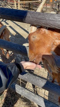 群馬サファリパークに投稿された画像（2024/1/16）