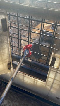 群馬サファリパークに投稿された画像（2024/1/16）