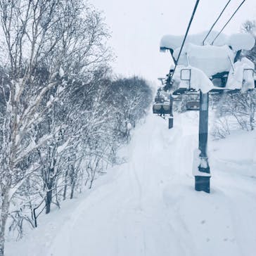 キロロリゾートに投稿された画像（2024/1/16）