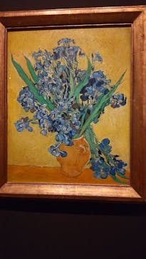 ゴッホと静物画　伝統から革新へ（SＯＭＰＯ美術館）に投稿された画像（2024/1/16）