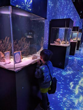 マクセル アクアパーク品川に投稿された画像（2024/1/16）