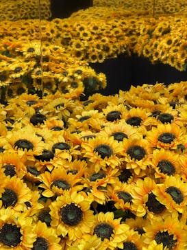 ゴッホ・アライブに投稿された画像（2024/1/16）