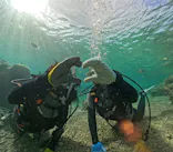 武藤潜水に投稿された画像（2024/1/16）