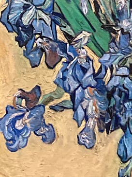 ゴッホと静物画　伝統から革新へ（SＯＭＰＯ美術館）に投稿された画像（2024/1/16）