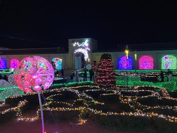 神戸イルミナージュに投稿された画像（2024/1/16）