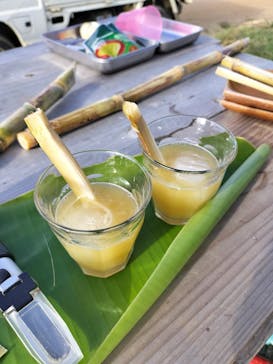 オルタナティブファーム宮古に投稿された画像（2024/1/16）