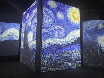 ゴッホ・アライブに投稿された画像（2024/1/16）