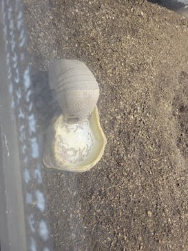 カワスイ 川崎⽔族館に投稿された画像（2024/1/16）